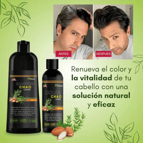 Shampoo chao canas + tratamiento🌿💆♀️