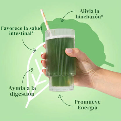 🍃 Bloom Nutrition Green Superfood - suplemento🌿🥤
